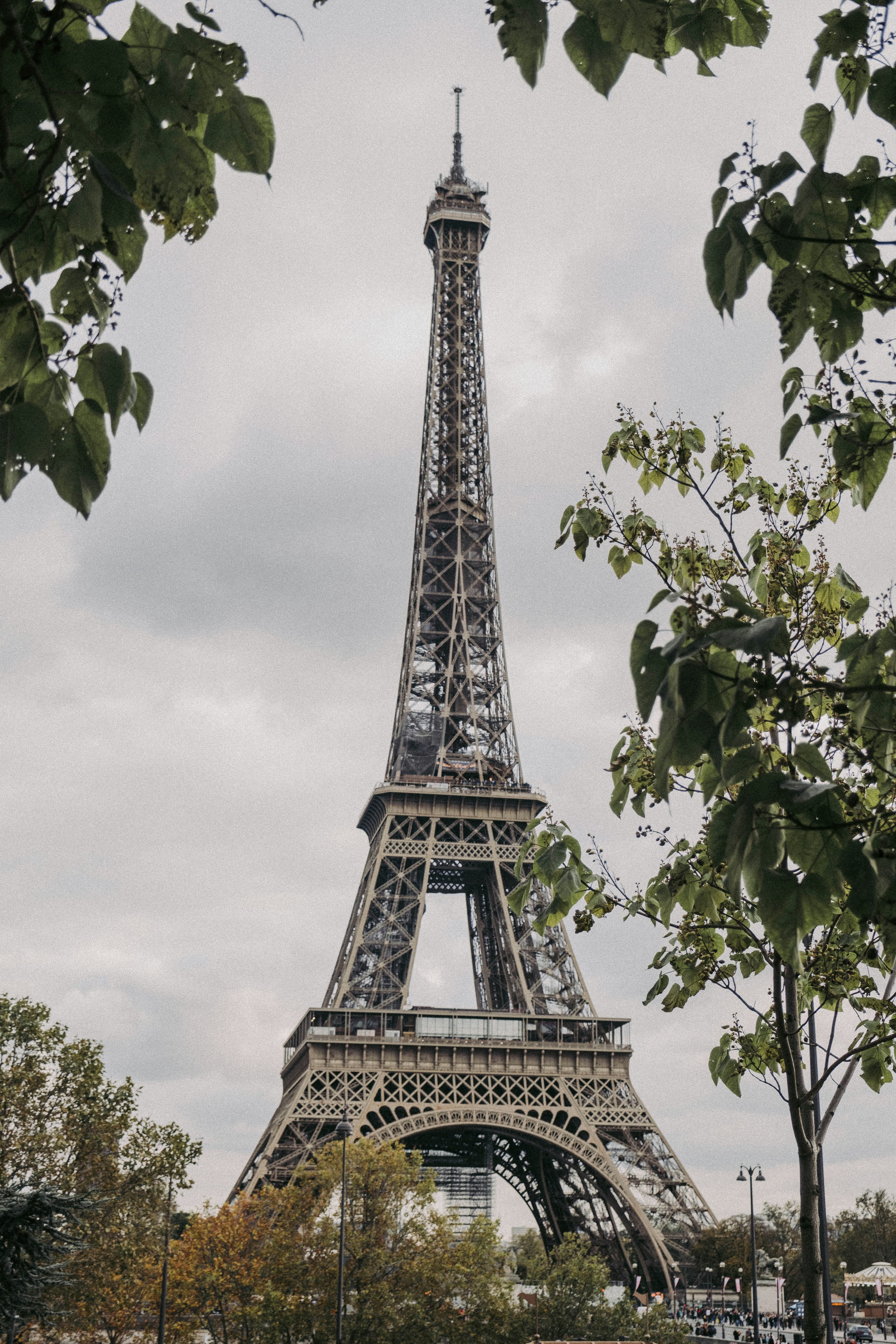 Photo by colinandmeg