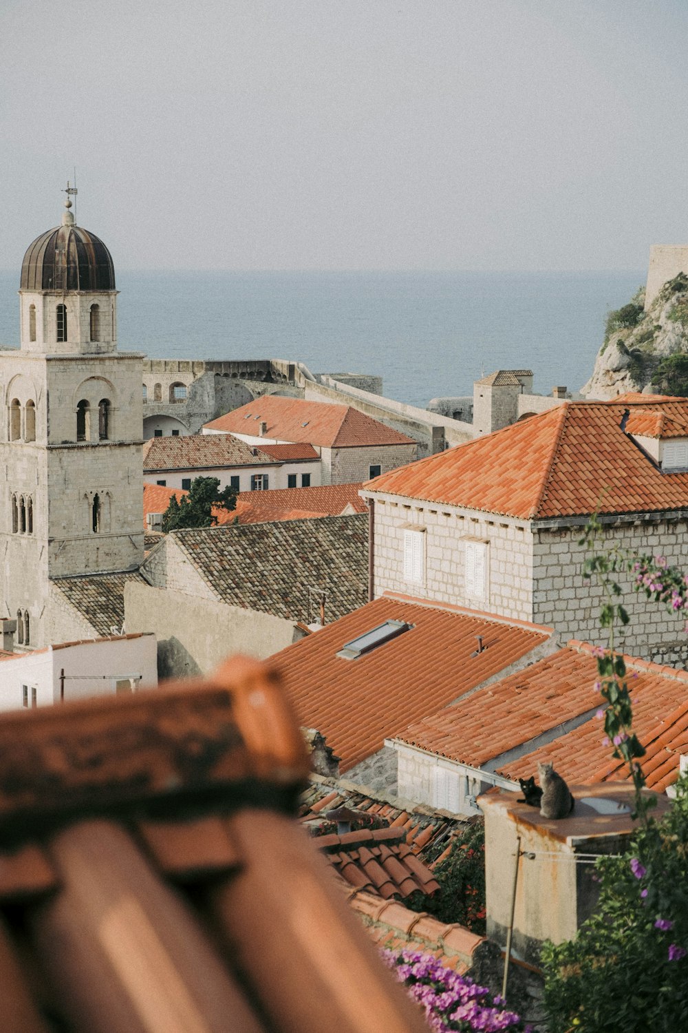 a view of a city with a body of water in the background