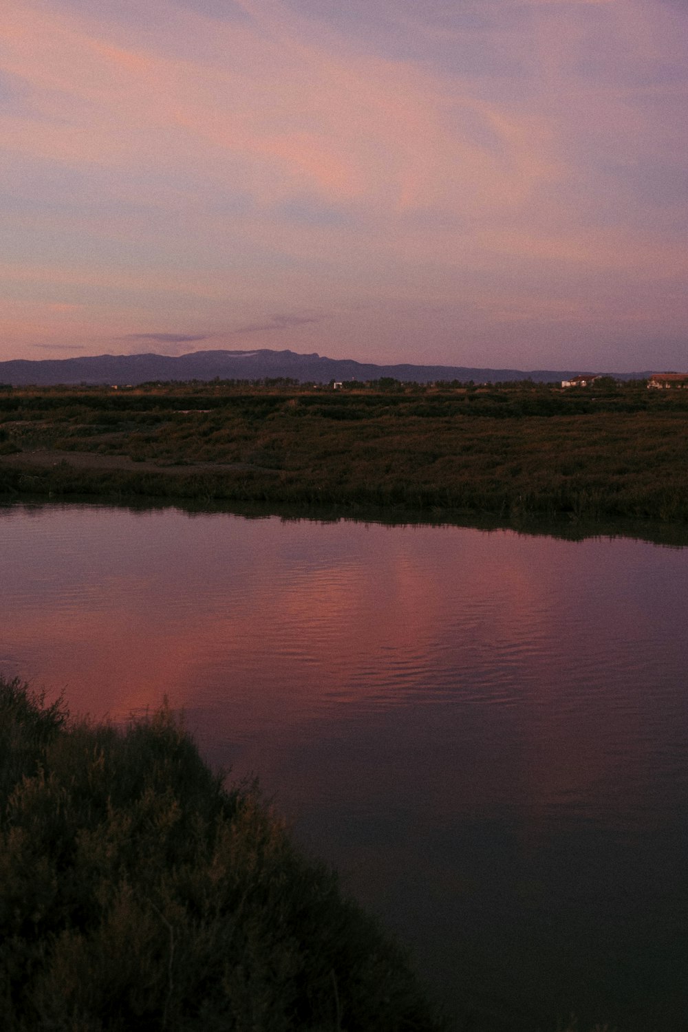 a body of water with grass and trees around it