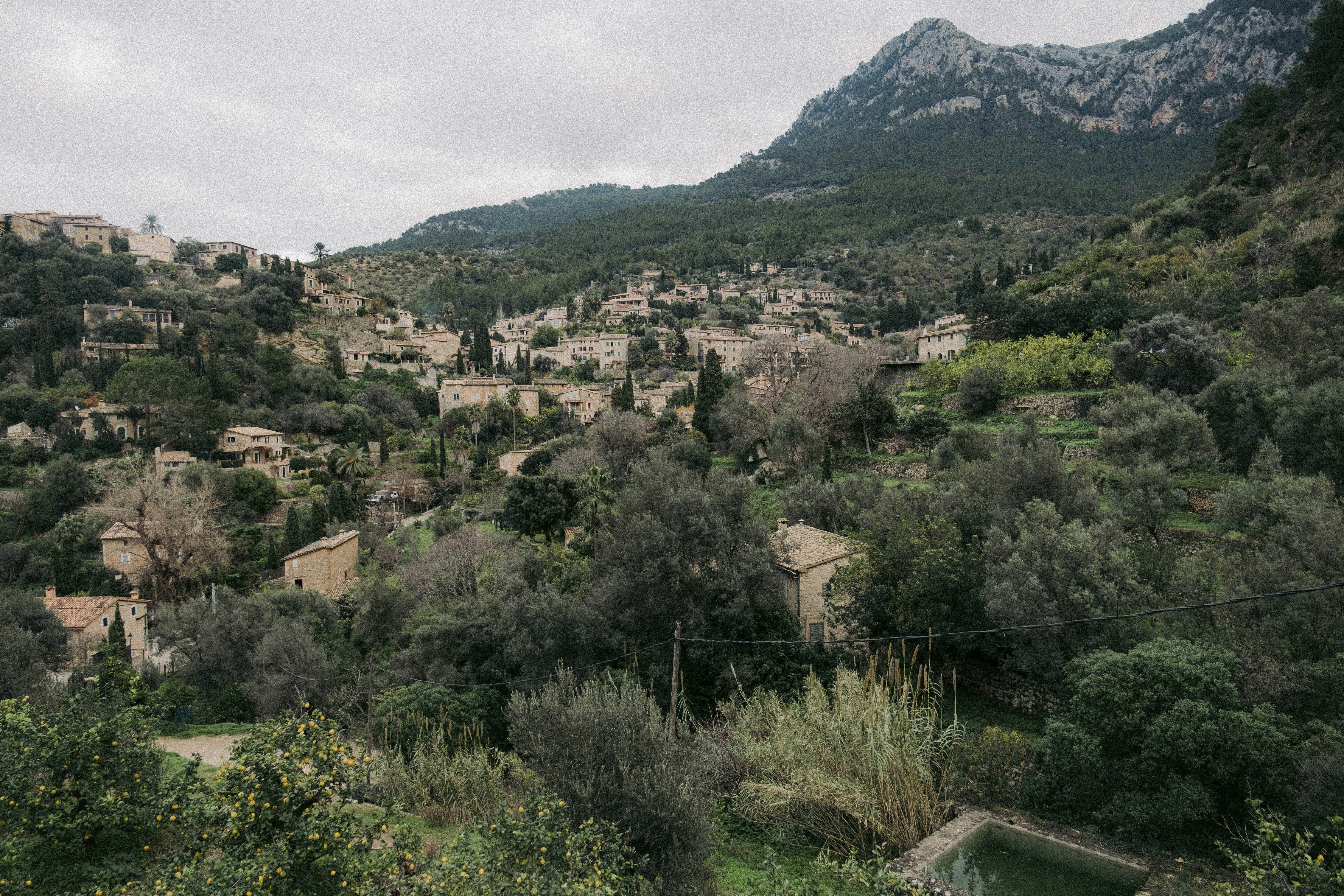 Photo by colinandmeg