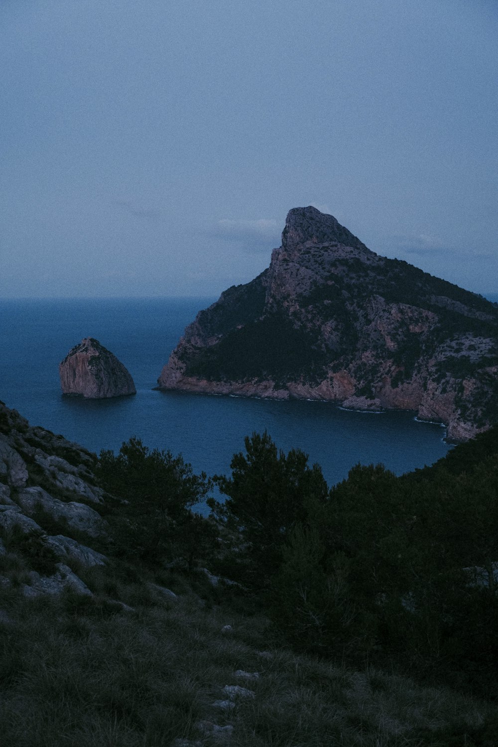 a rocky island with trees and a body of water in the background