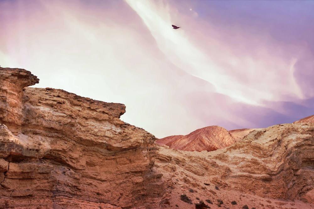 a bird flying over a rocky mountain