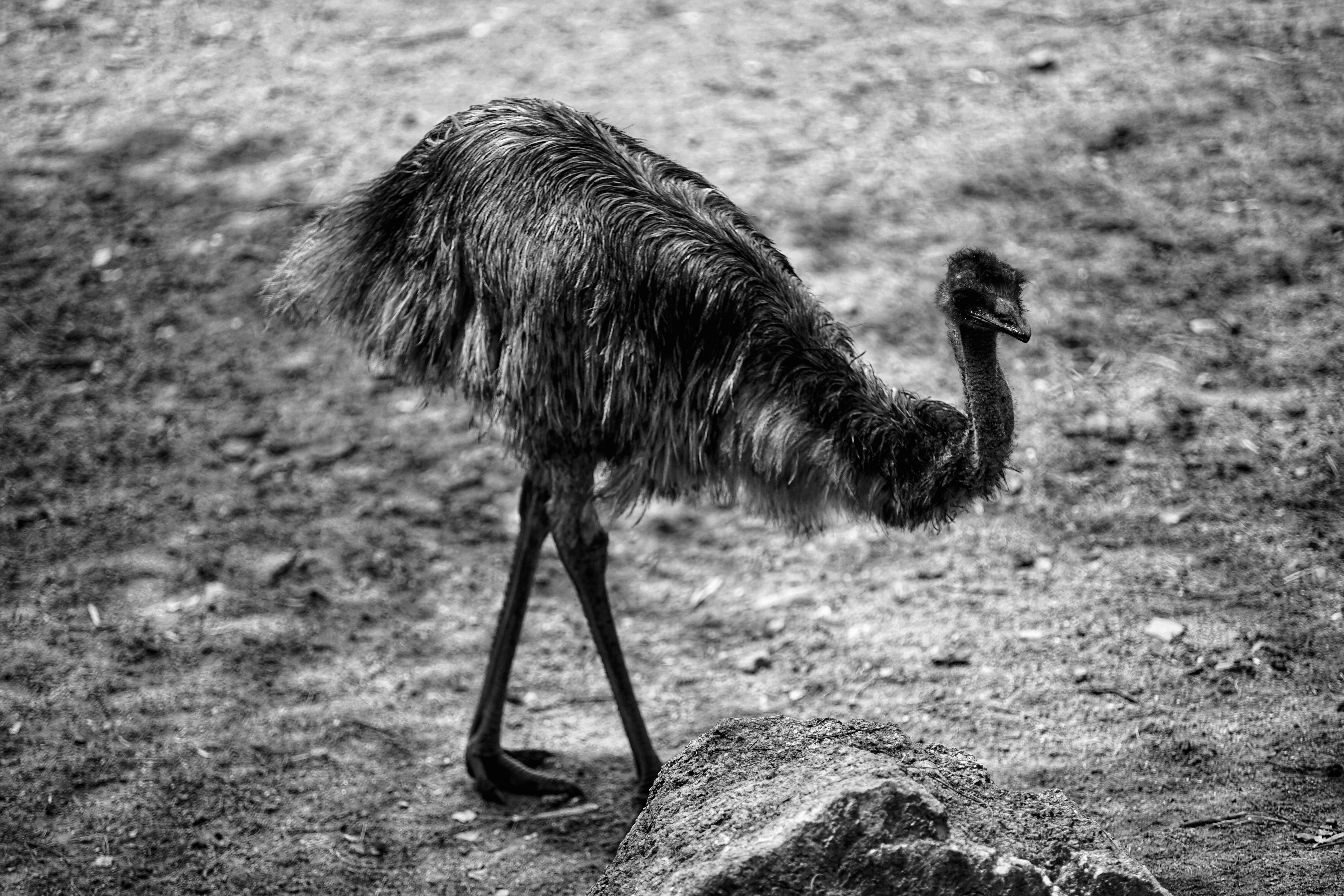 Photo by shiva_photography