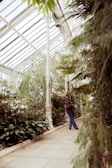 A person stands joyfully in a greenhouse surrounded by lush greenery. Tall plants and foliage create a vibrant atmosphere, with a pathway lined by a variety of plants. The glass-paneled ceiling lets in natural light, enhancing the verdant setting.