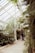 A satisfied customer standing in a lush greenhouse, showcasing thriving plants.