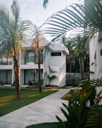 a building with palm trees and a walkway