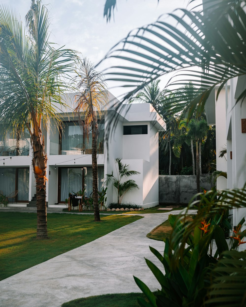 a building with palm trees and a walkway