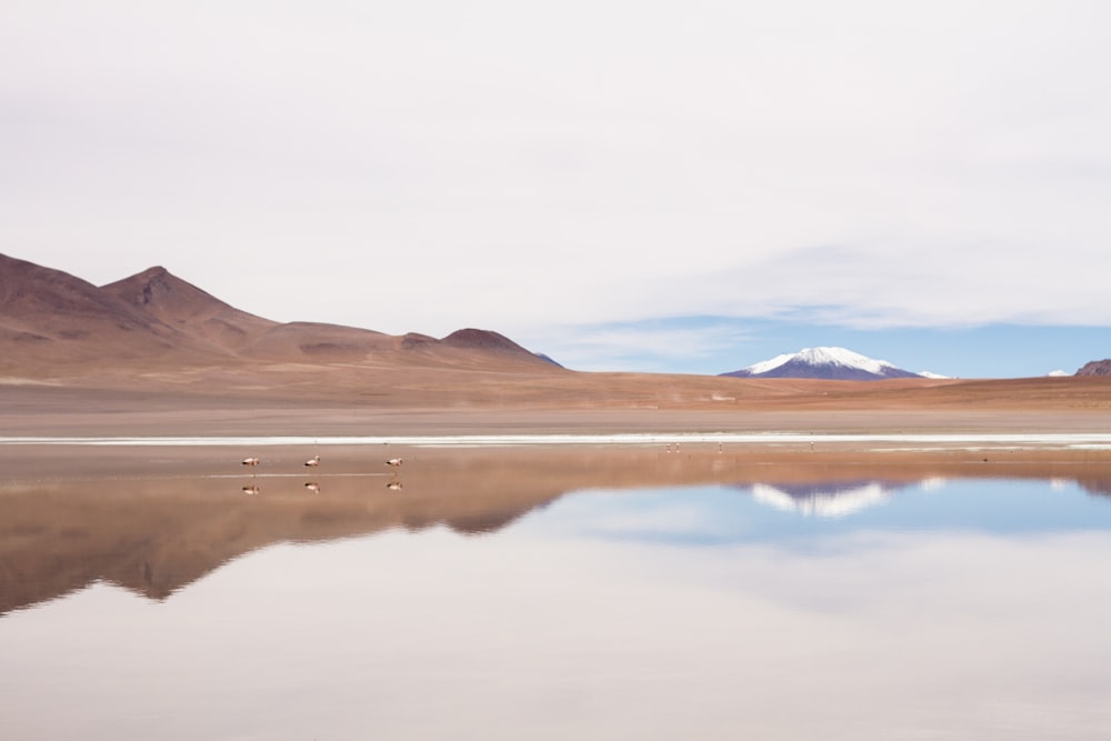 a body of water with mountains in the background