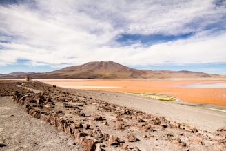 a rocky landscape with a body of water in the distance