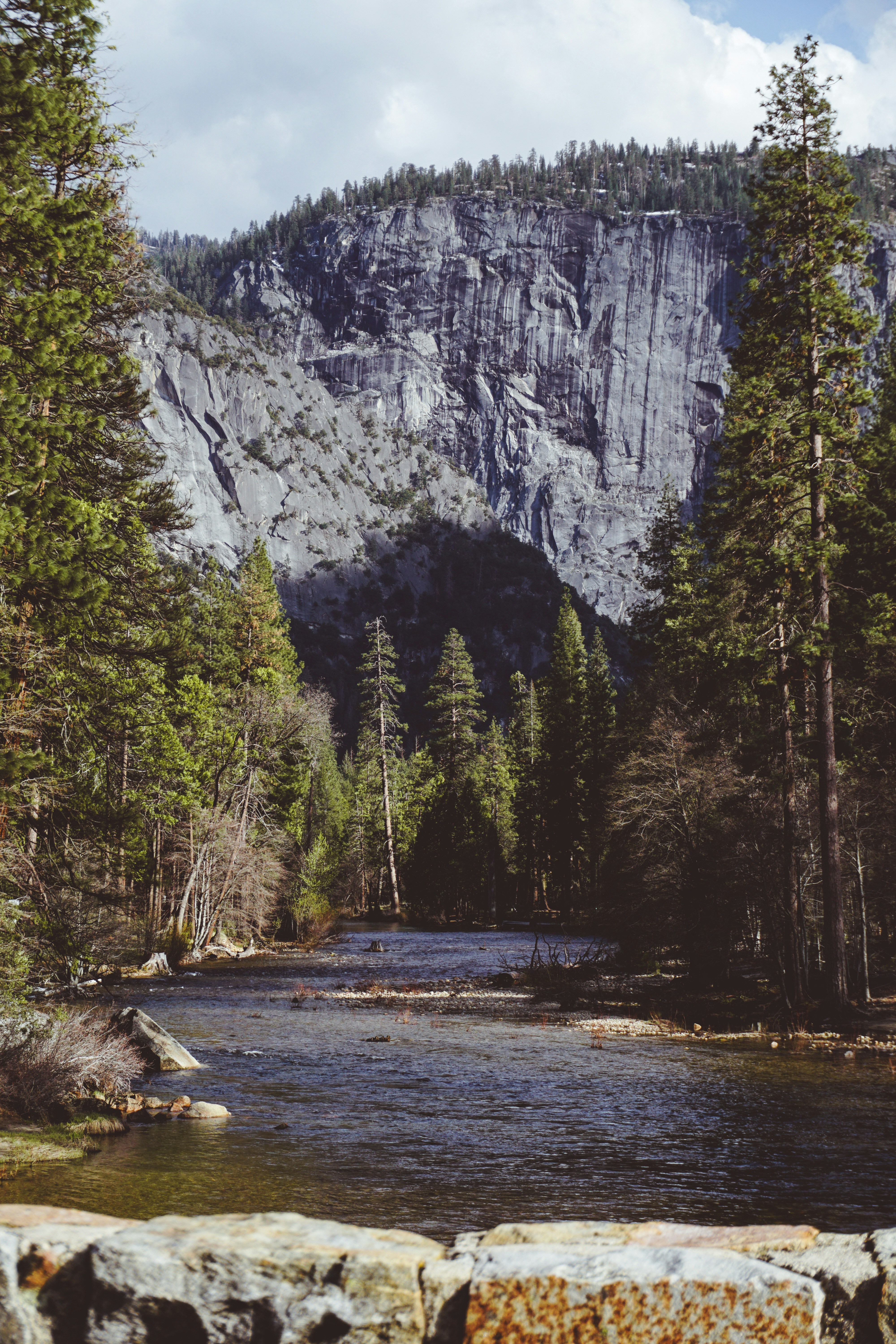 a river with trees and a mountain in the background