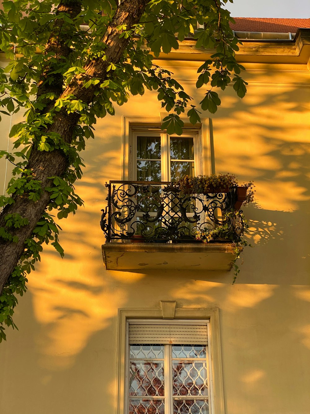 a tree with a basket on it