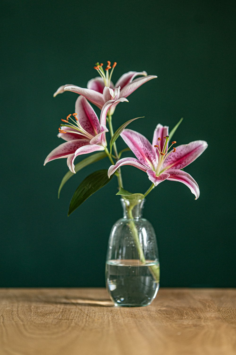 a vase with pink flowers