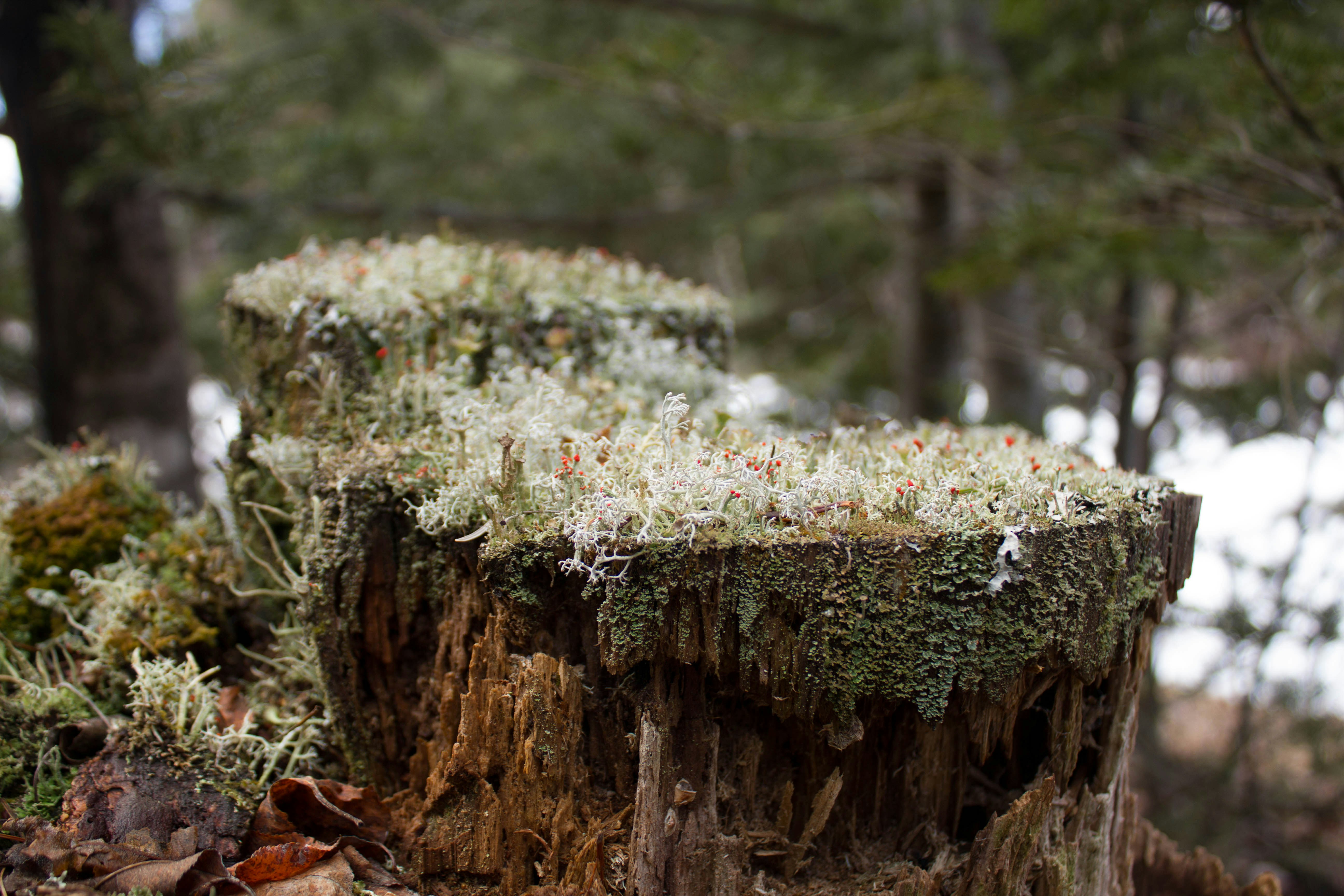 Photo by wondroustrange