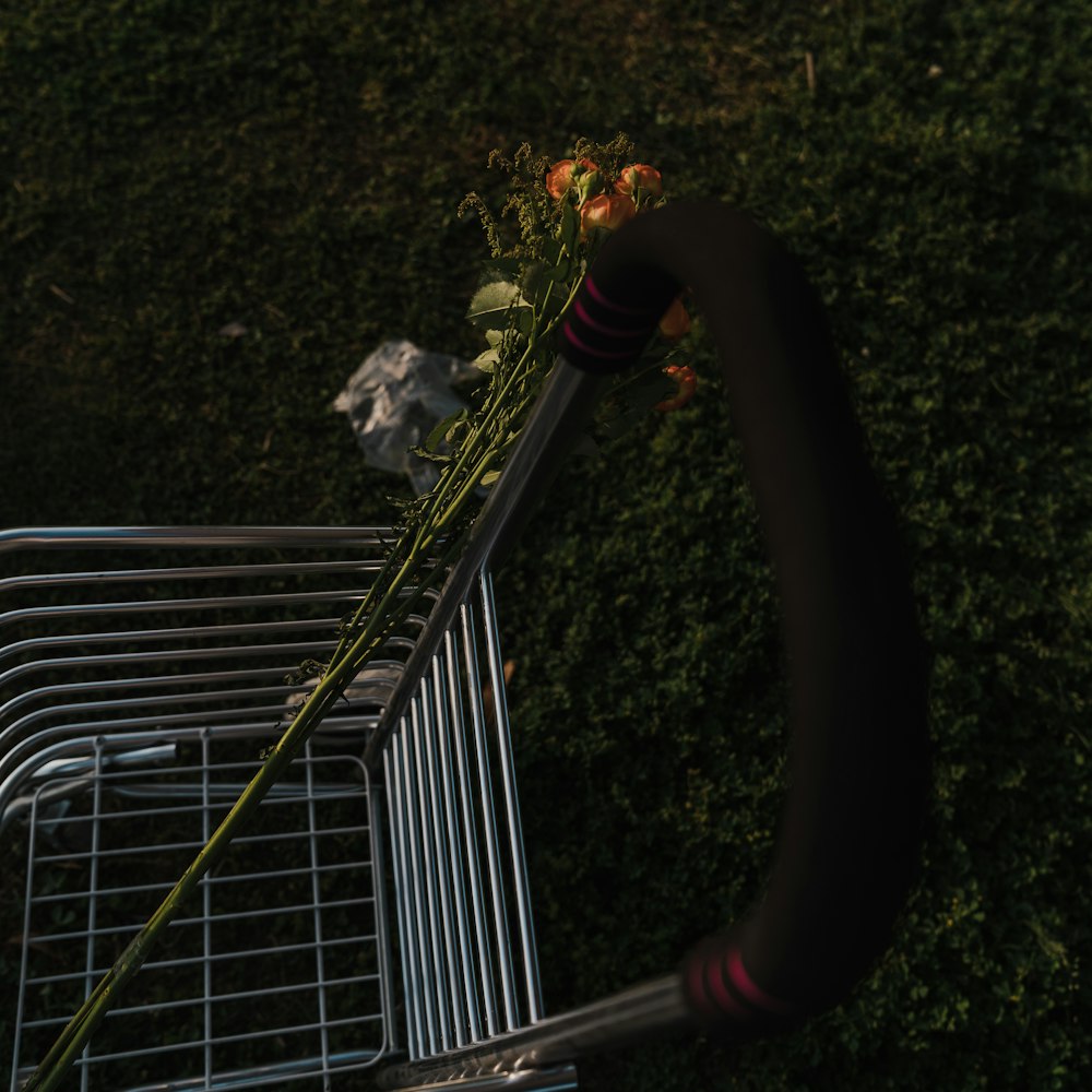 a cat on a metal railing