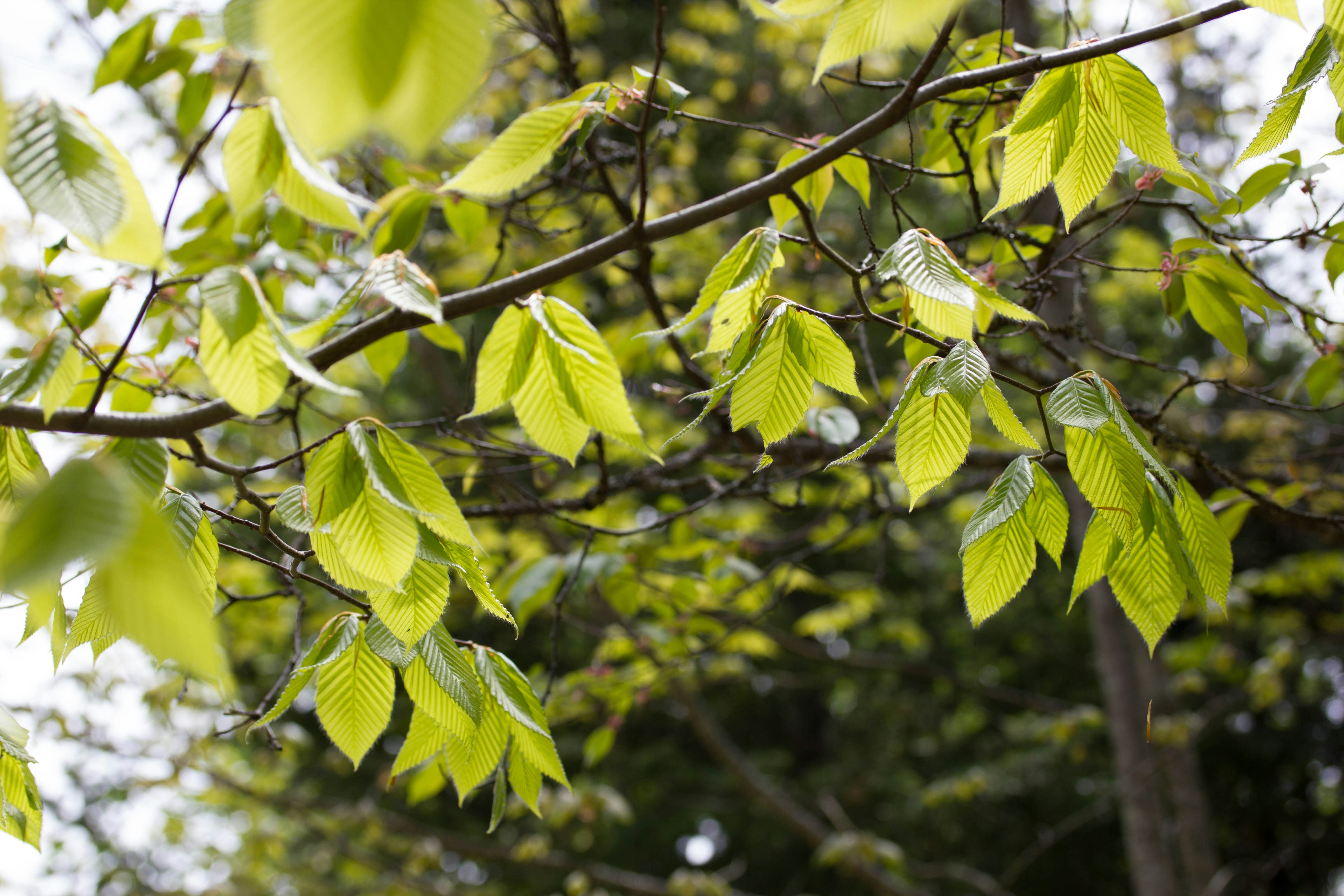 Photo by wondroustrange