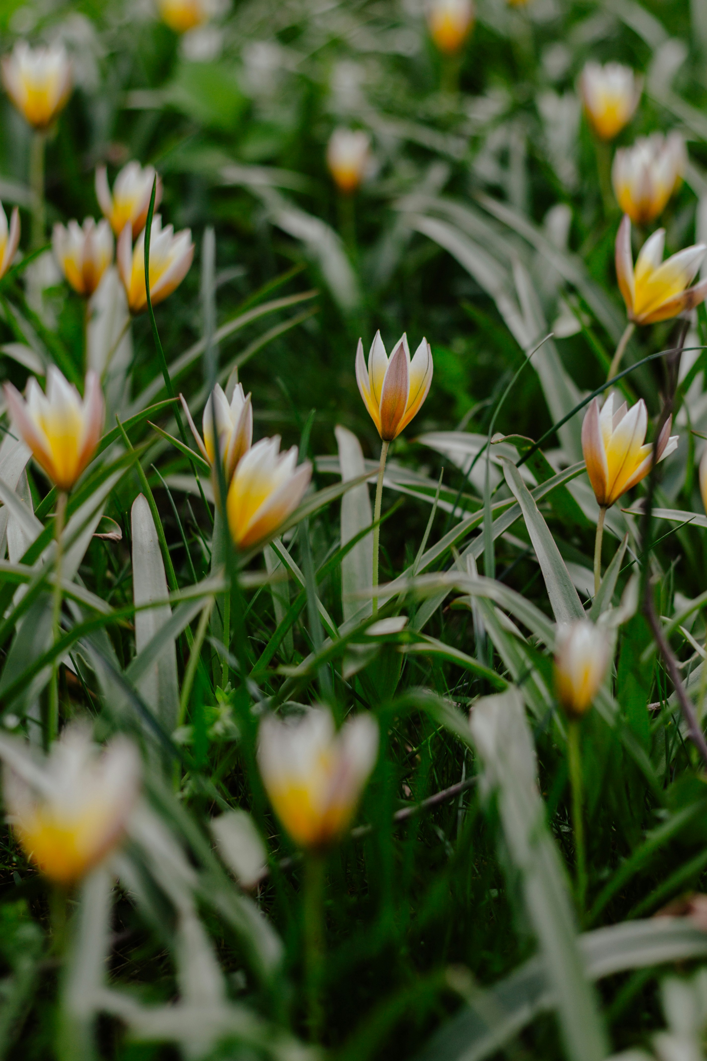 Photo by annaleksandrovishna