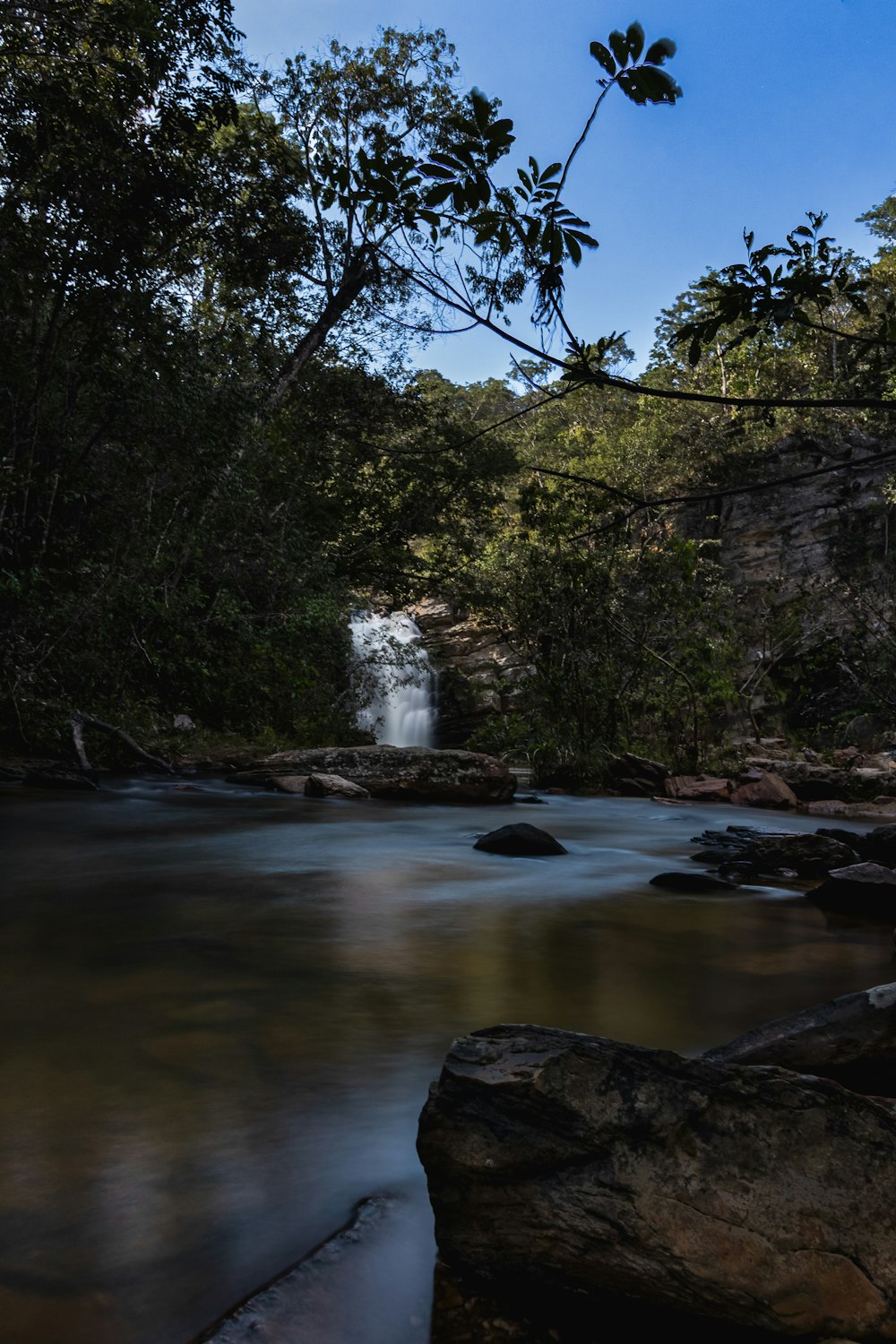 Una cascata in una foresta