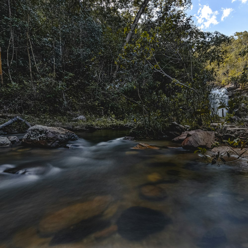 Ein Fluss mit Felsen und Bäumen