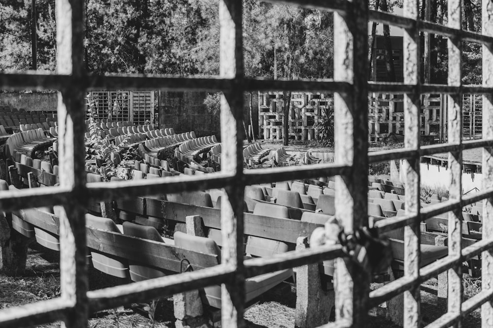 a black and white photo of a fenced in area with a group of animals in it