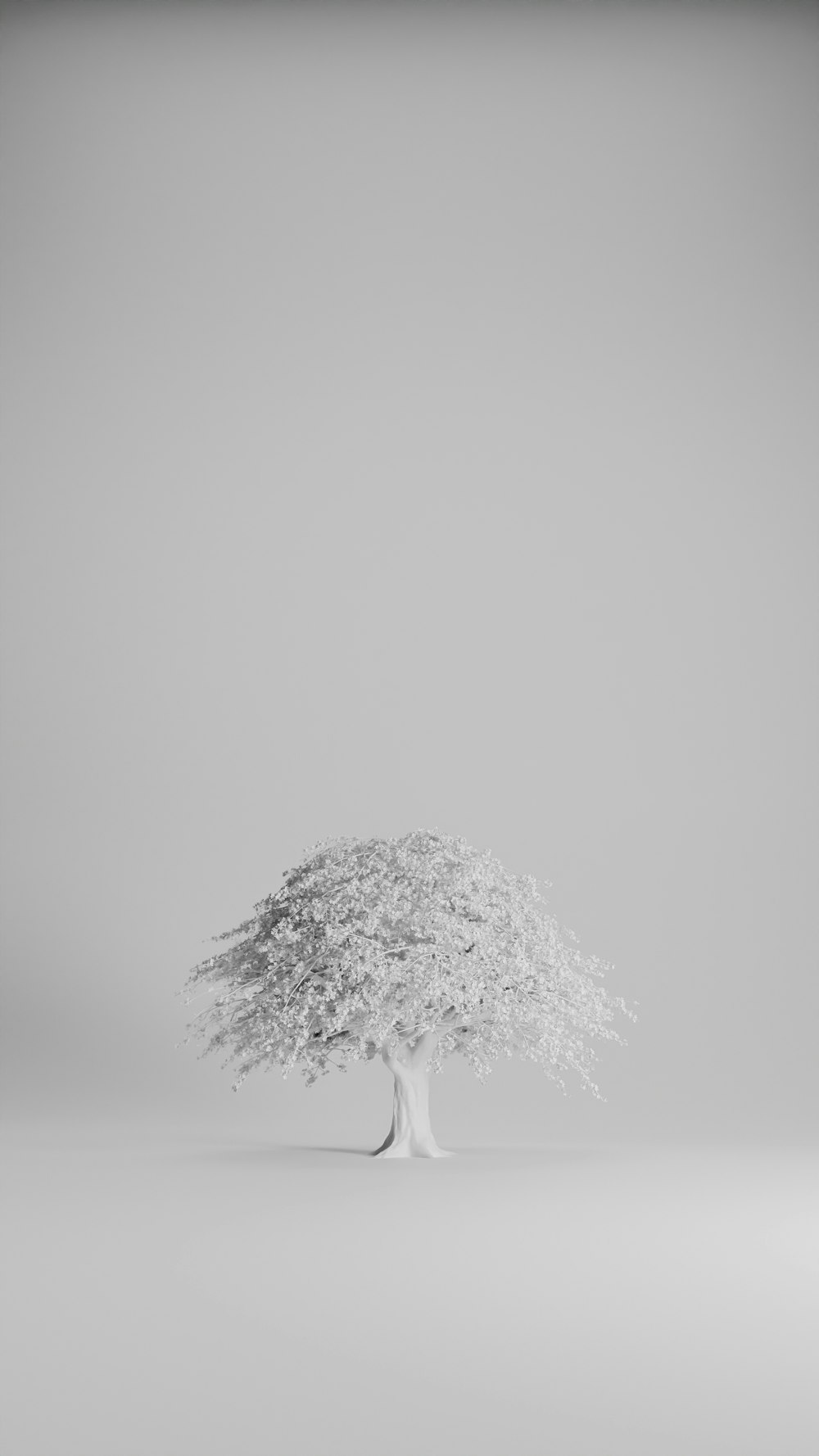 a small tree with a stem