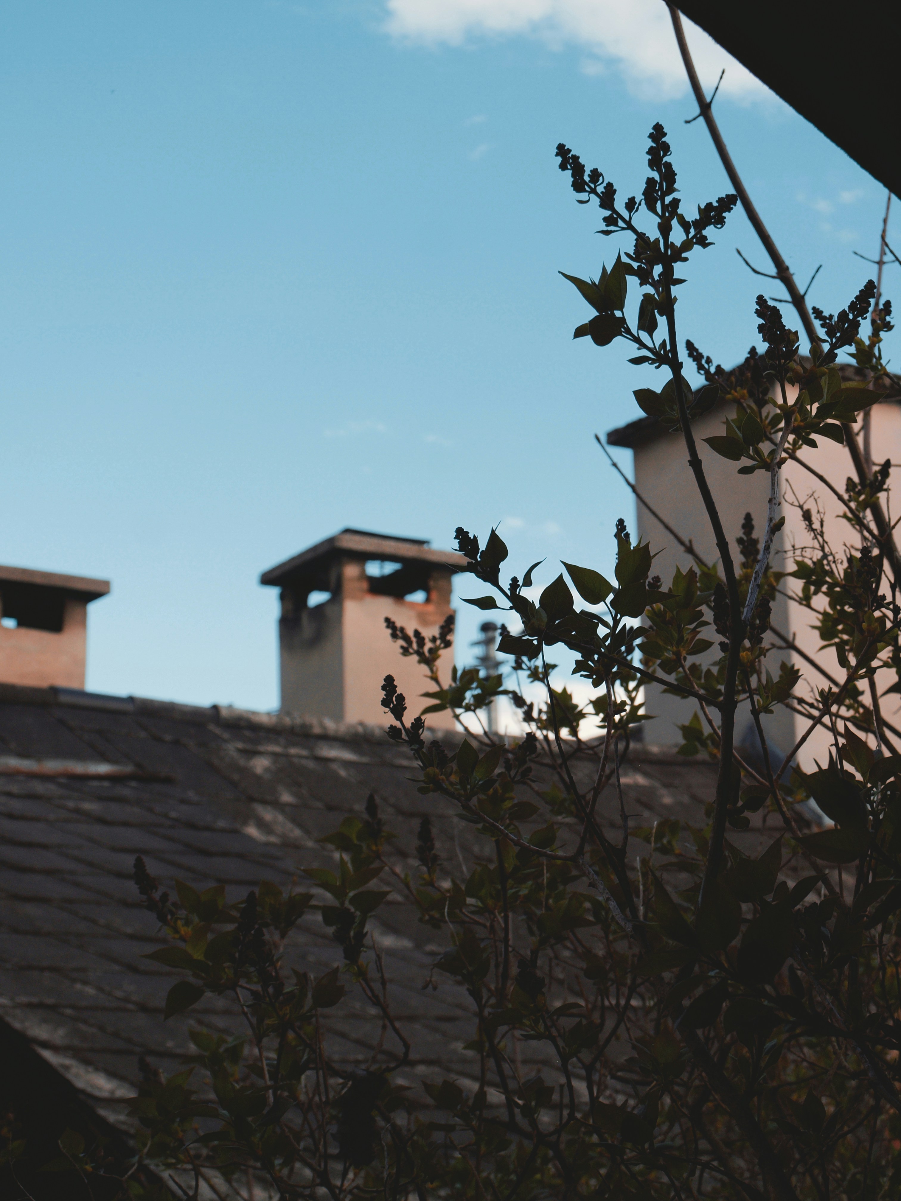Photo by raphaelgb