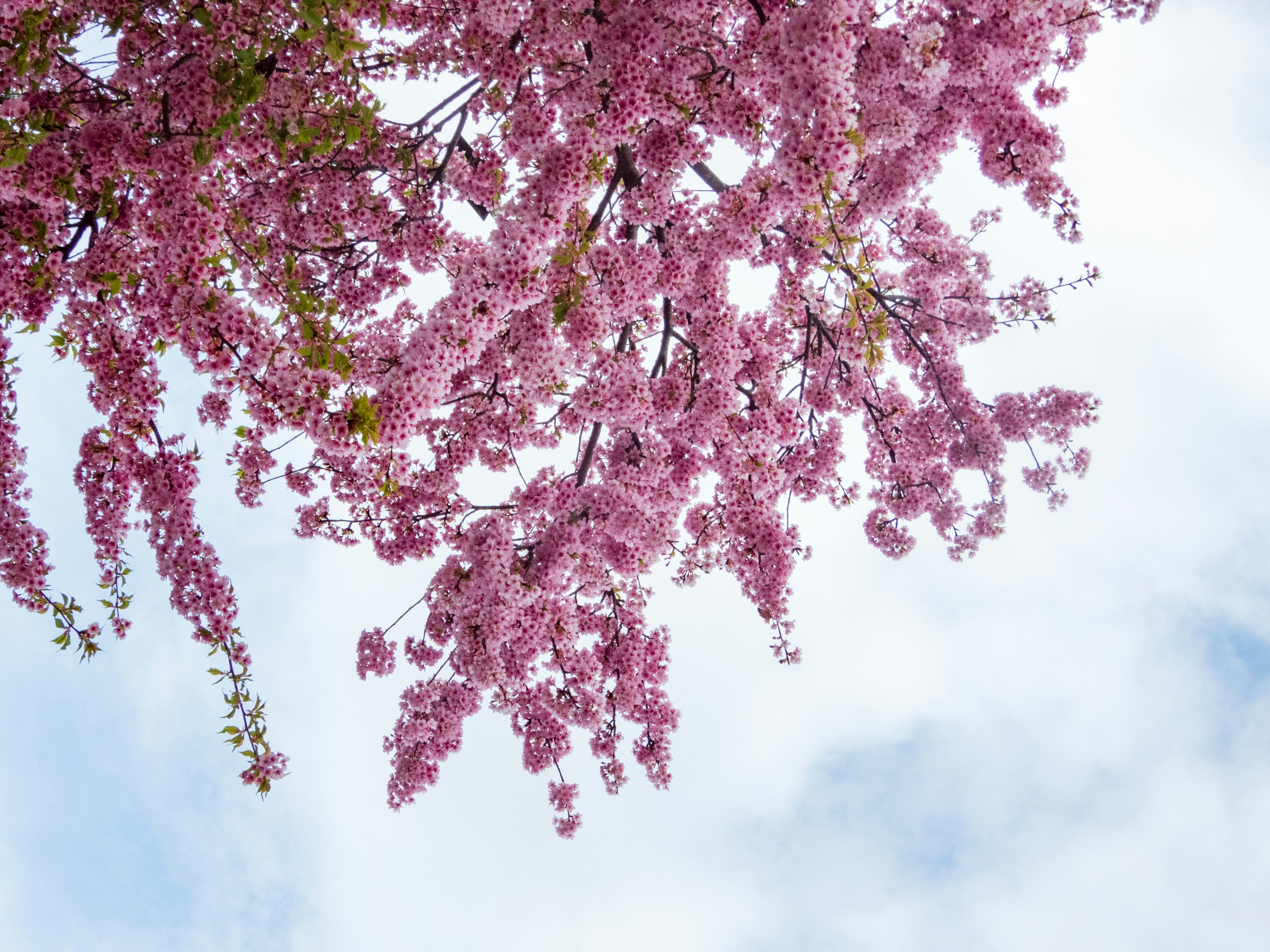 Photo by heppoko_yama