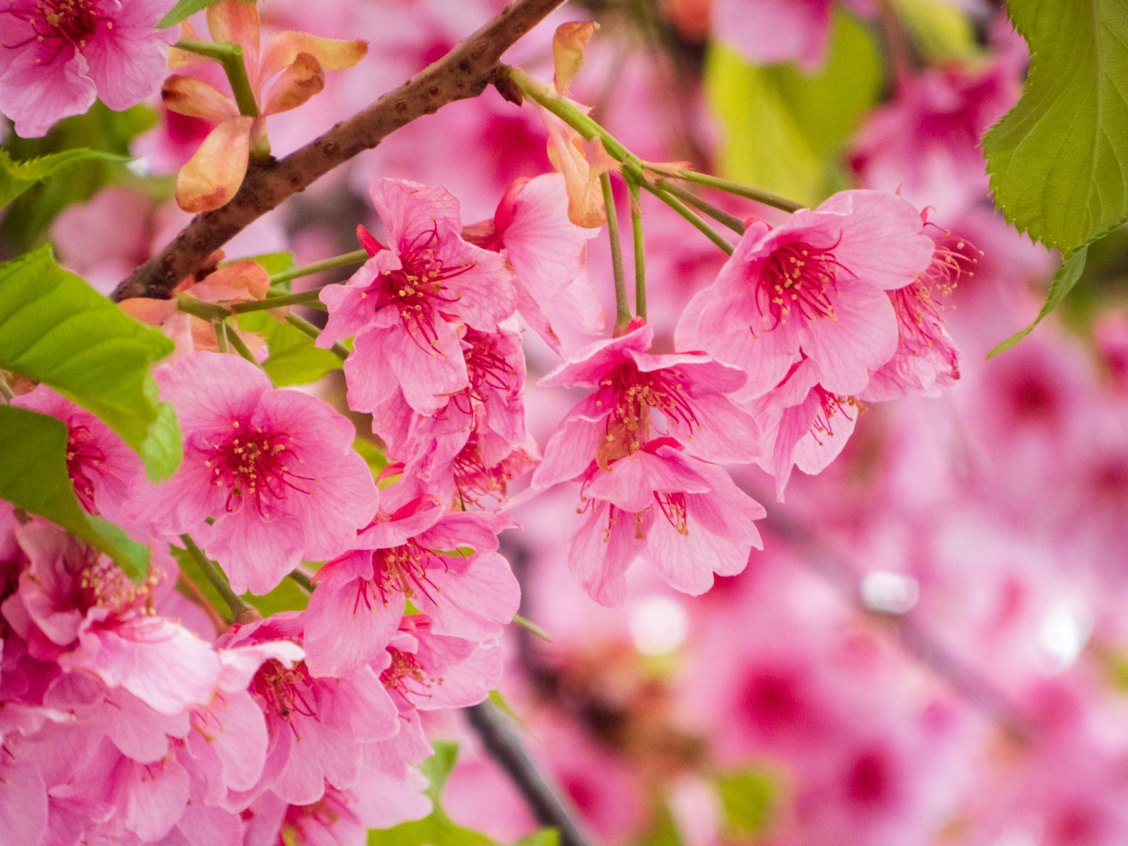 Photo by heppoko_yama