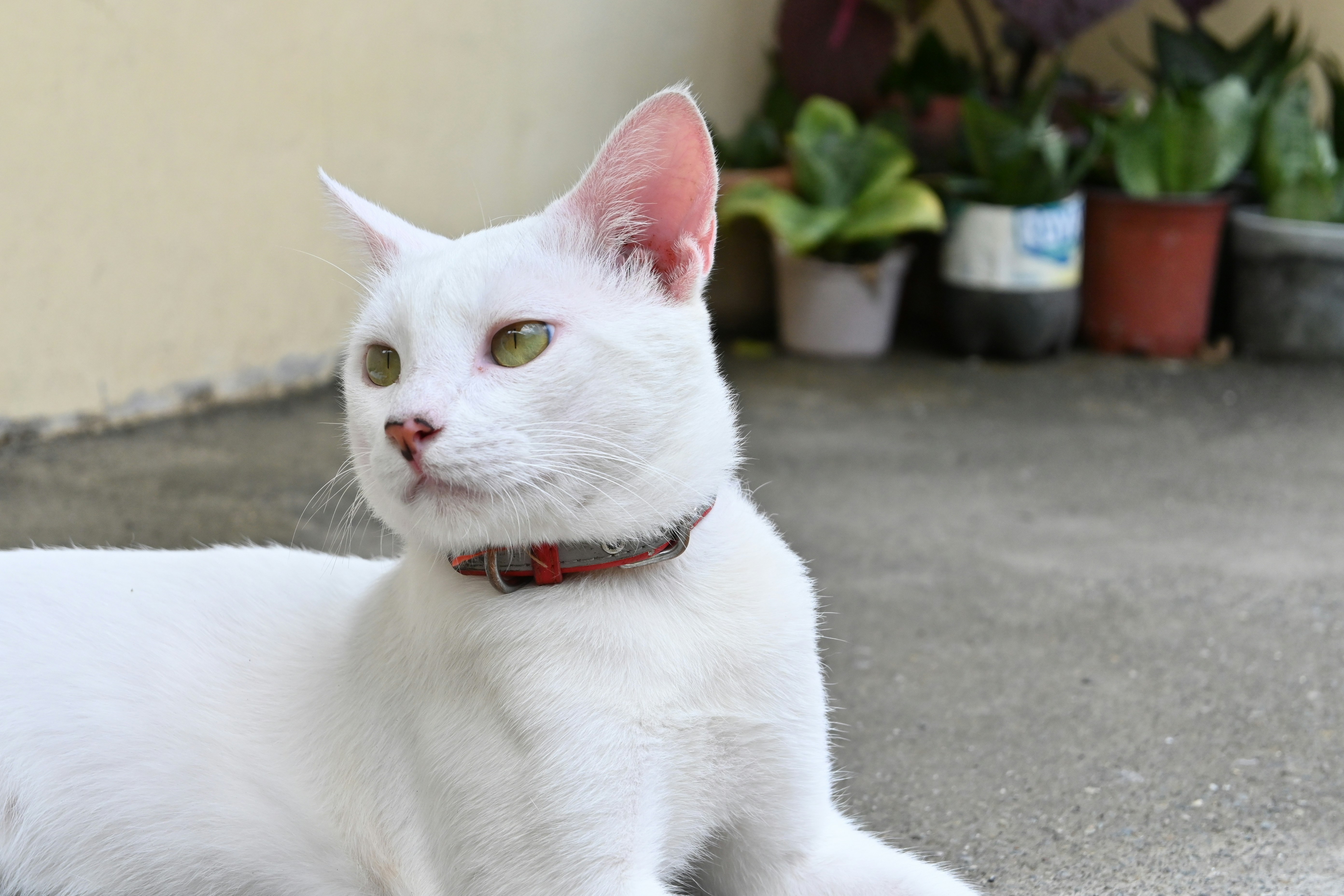 Photo by angelynmrtnz