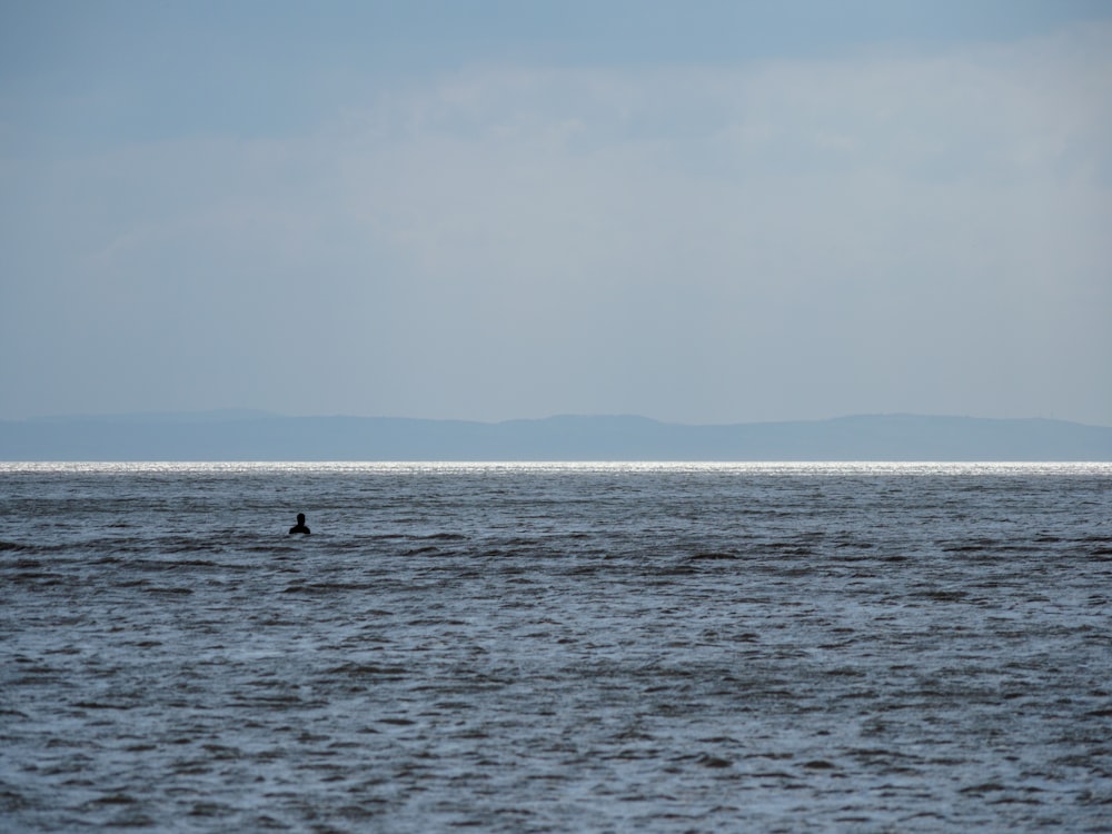 a person in the water