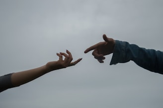 a pair of hands reaching out to each other