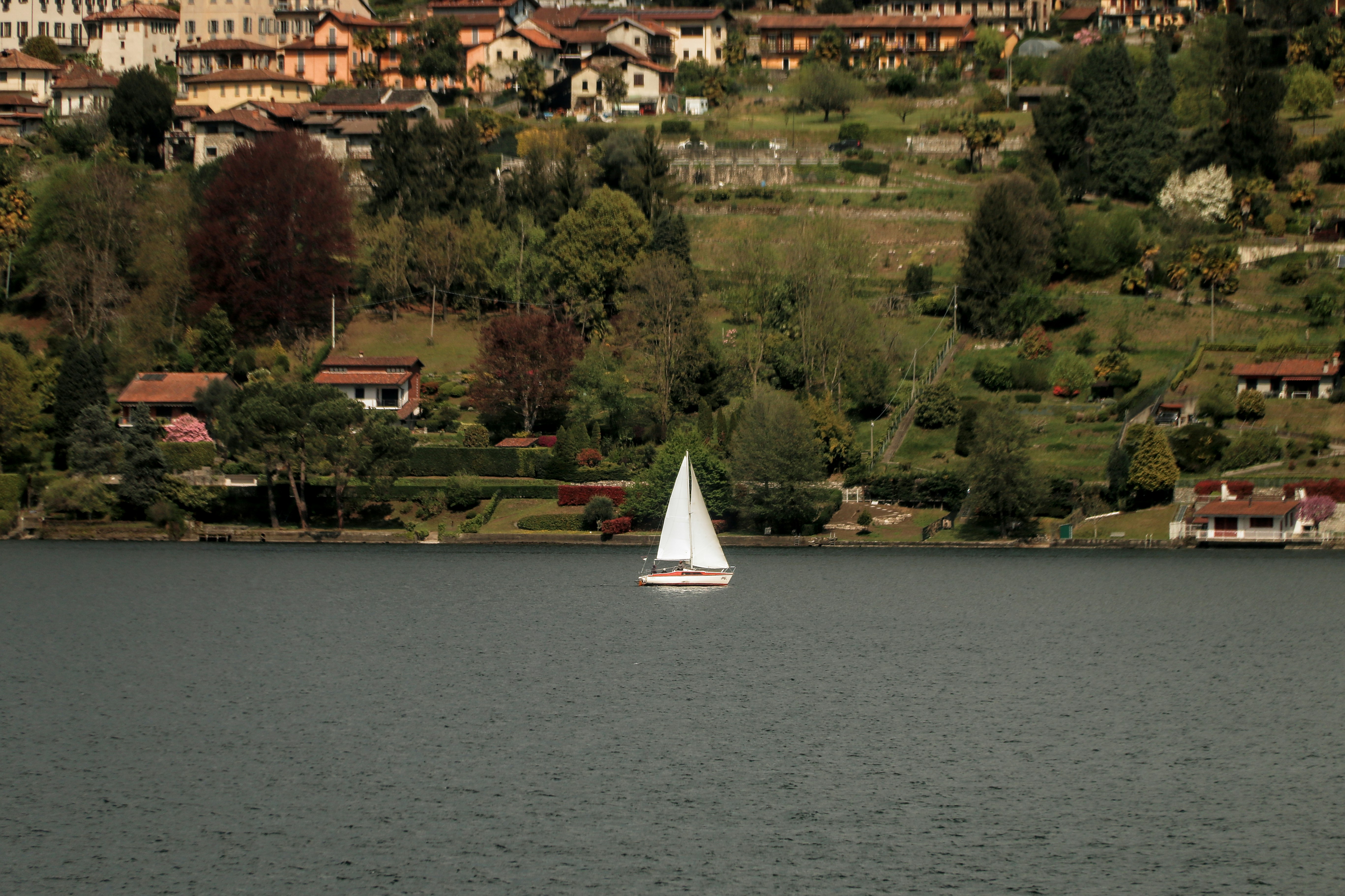 Photo by andrea_brusco