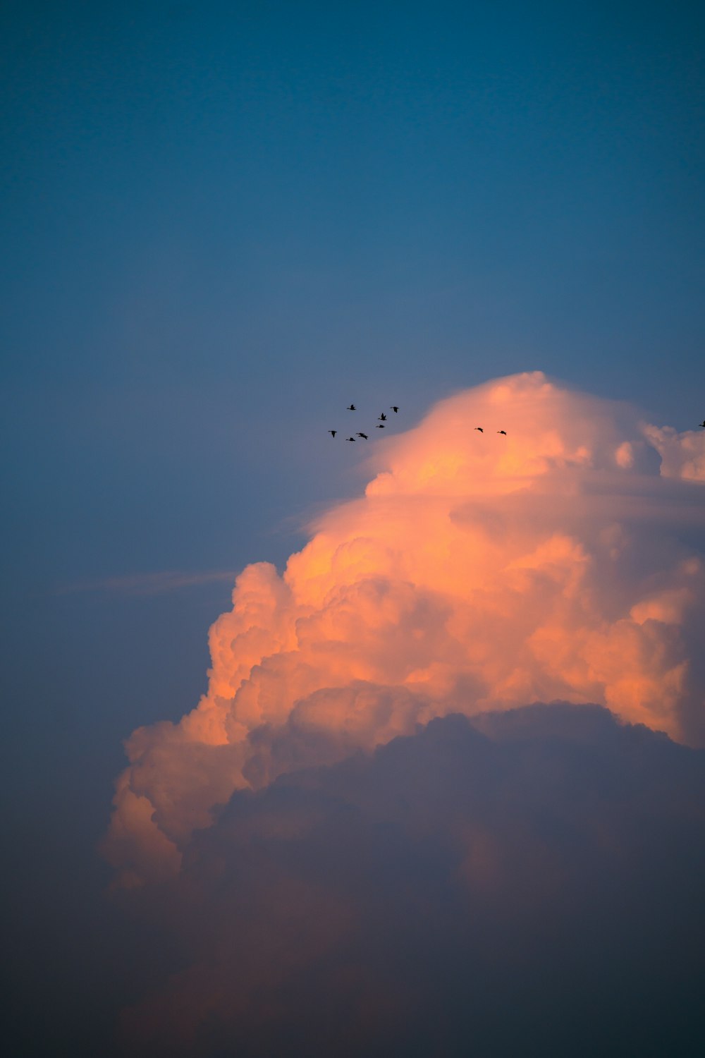 a group of planes flying in the sky