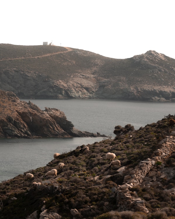 Essential Travel Guide to Andros, Greece