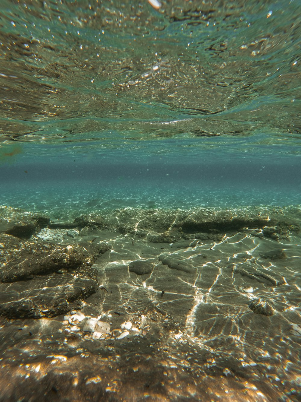 a body of water with rocks and a beach