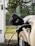An electric vehicle is plugged into a charging station. The image captures a close-up view of the charging port of the car and the connected charging cable. The vehicle is parked on a concrete path near a metal fence, with greenery visible in the background.