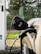 A close-up of an electric vehicle charging station with a car plugged in.
