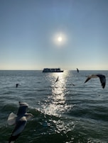 Travelers capturing the sunrise from the deck of an ocean cruise, with seagulls flying overhead.