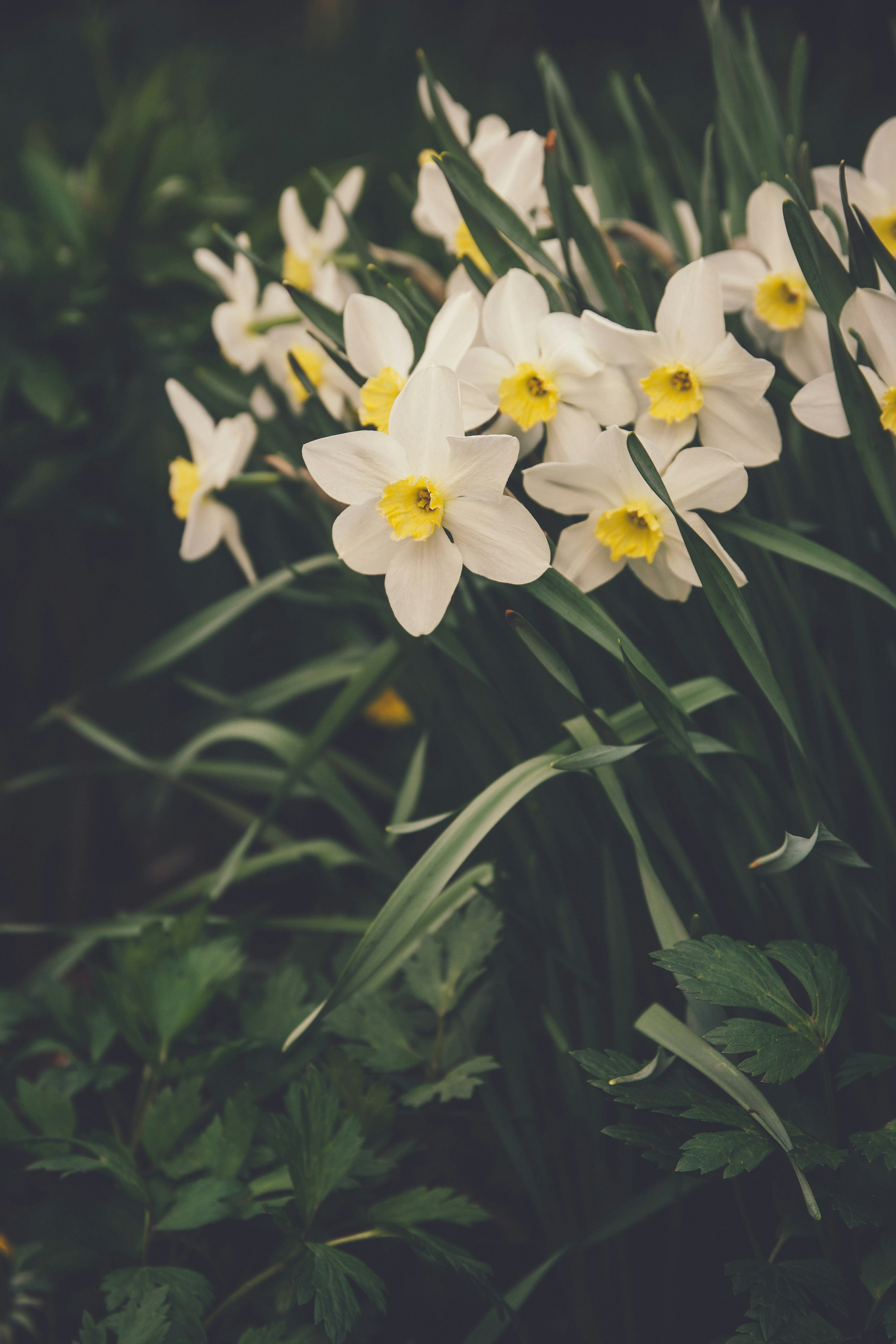 Photo by onmywayhome