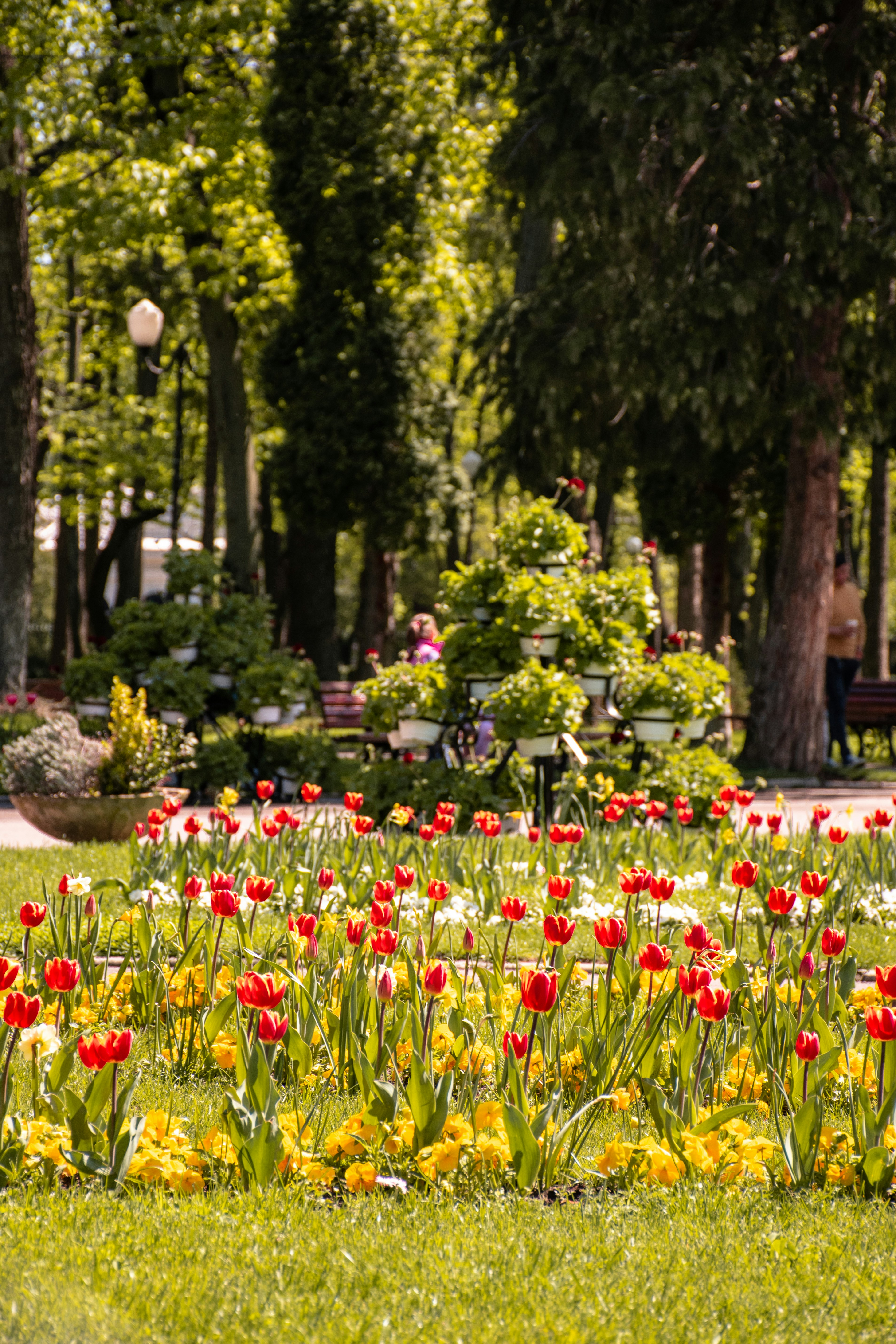 Photo by fatapedigital