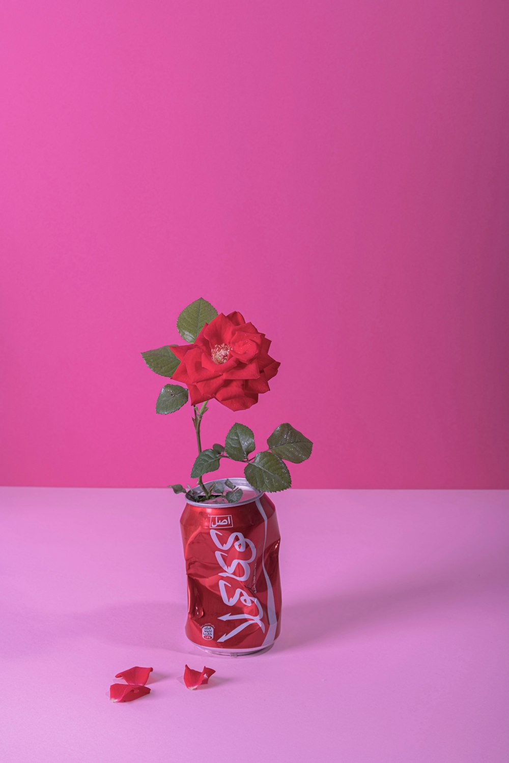 a red rose in a vase