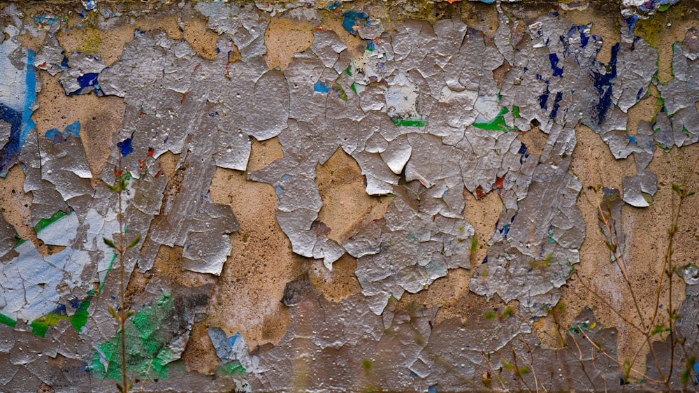 a close-up of a cracked surface