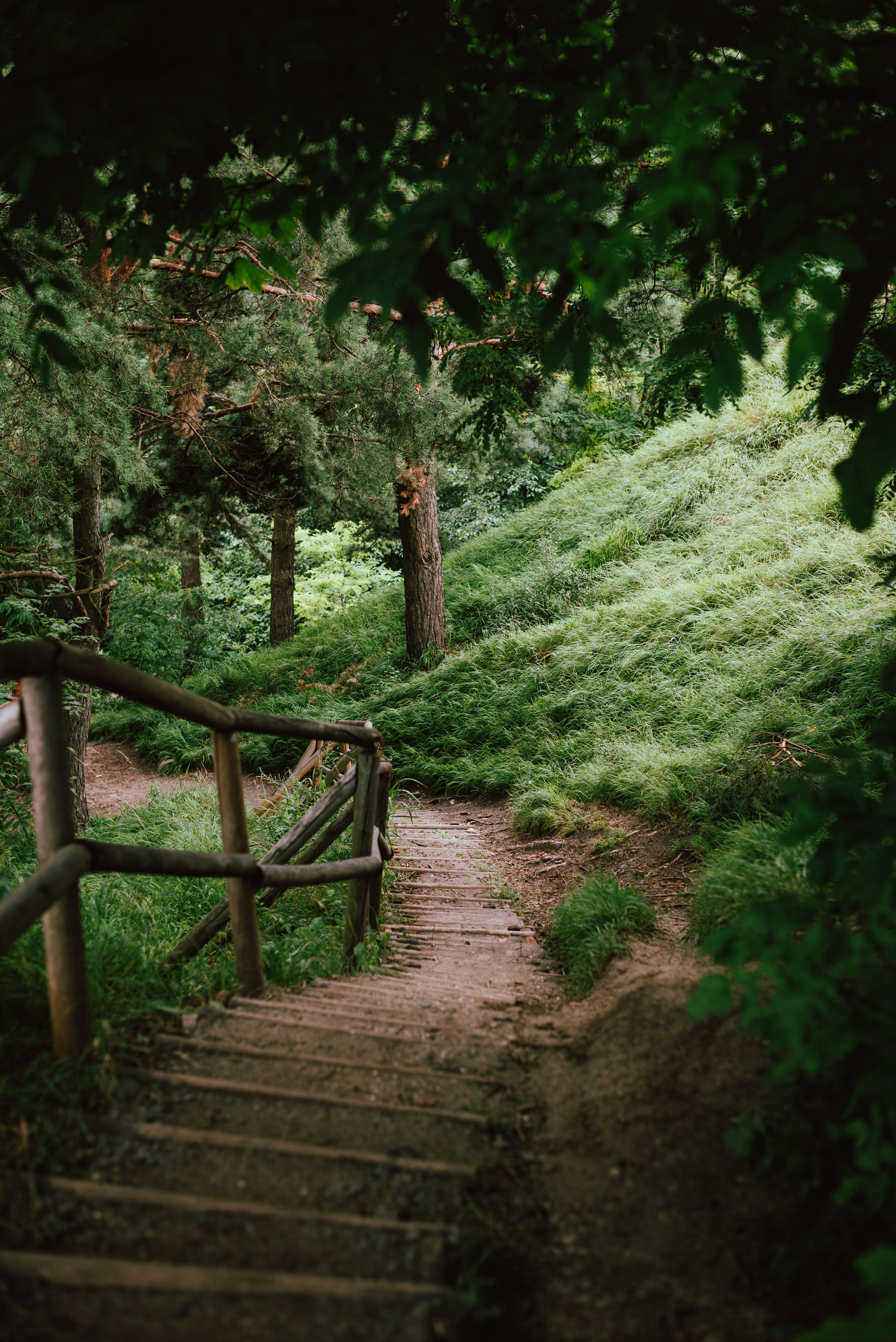 Photo by oksana_maselko