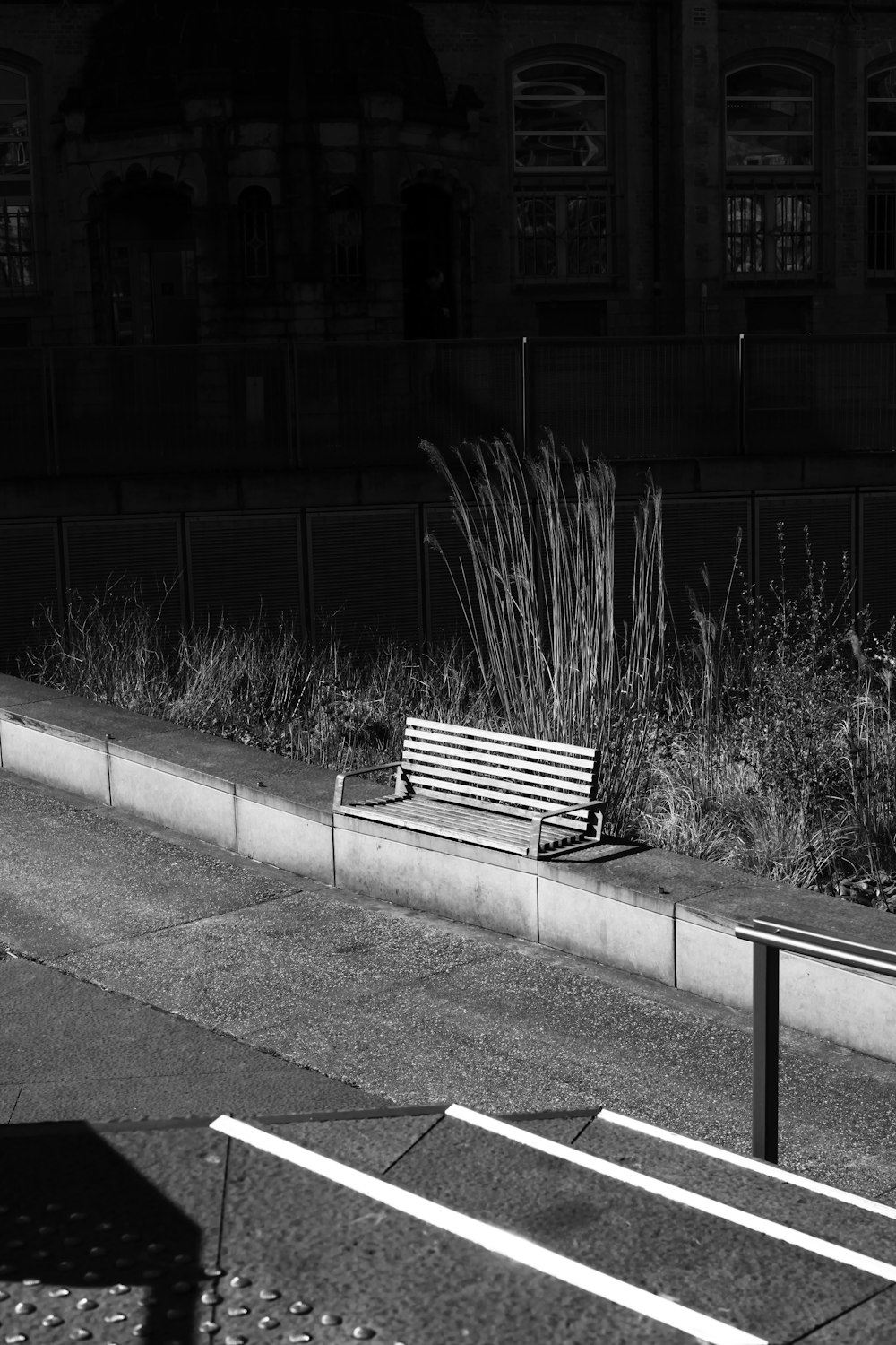 a bench sits unoccupied