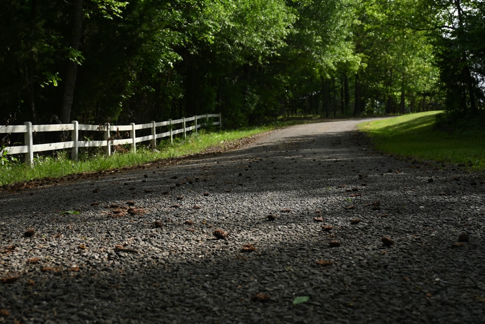 a road with trees on the side