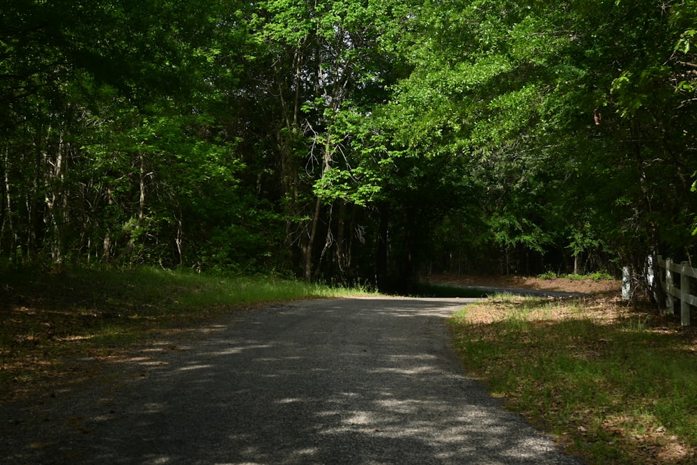 a dirt road surrounded by trees