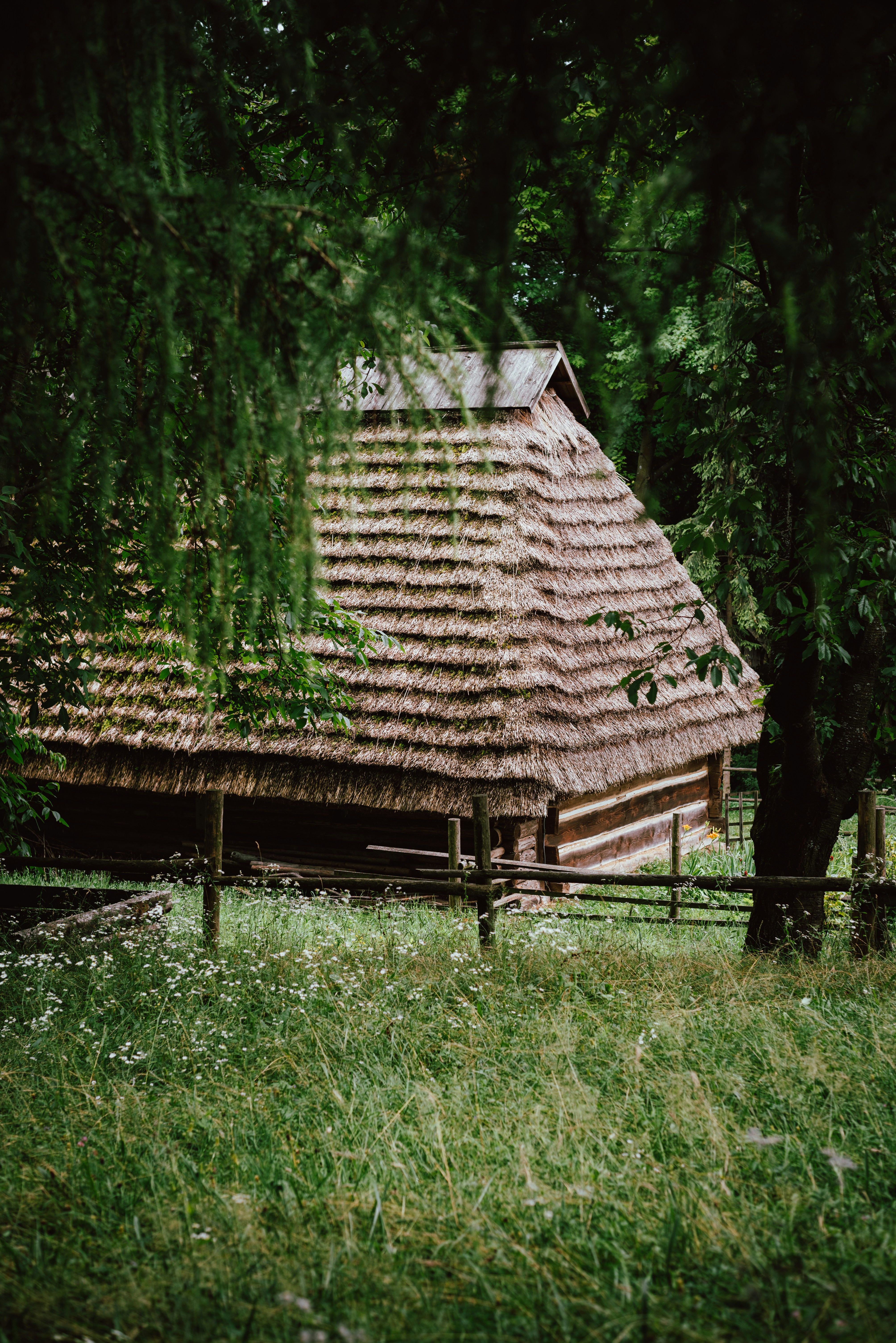a wooden structure in the woods