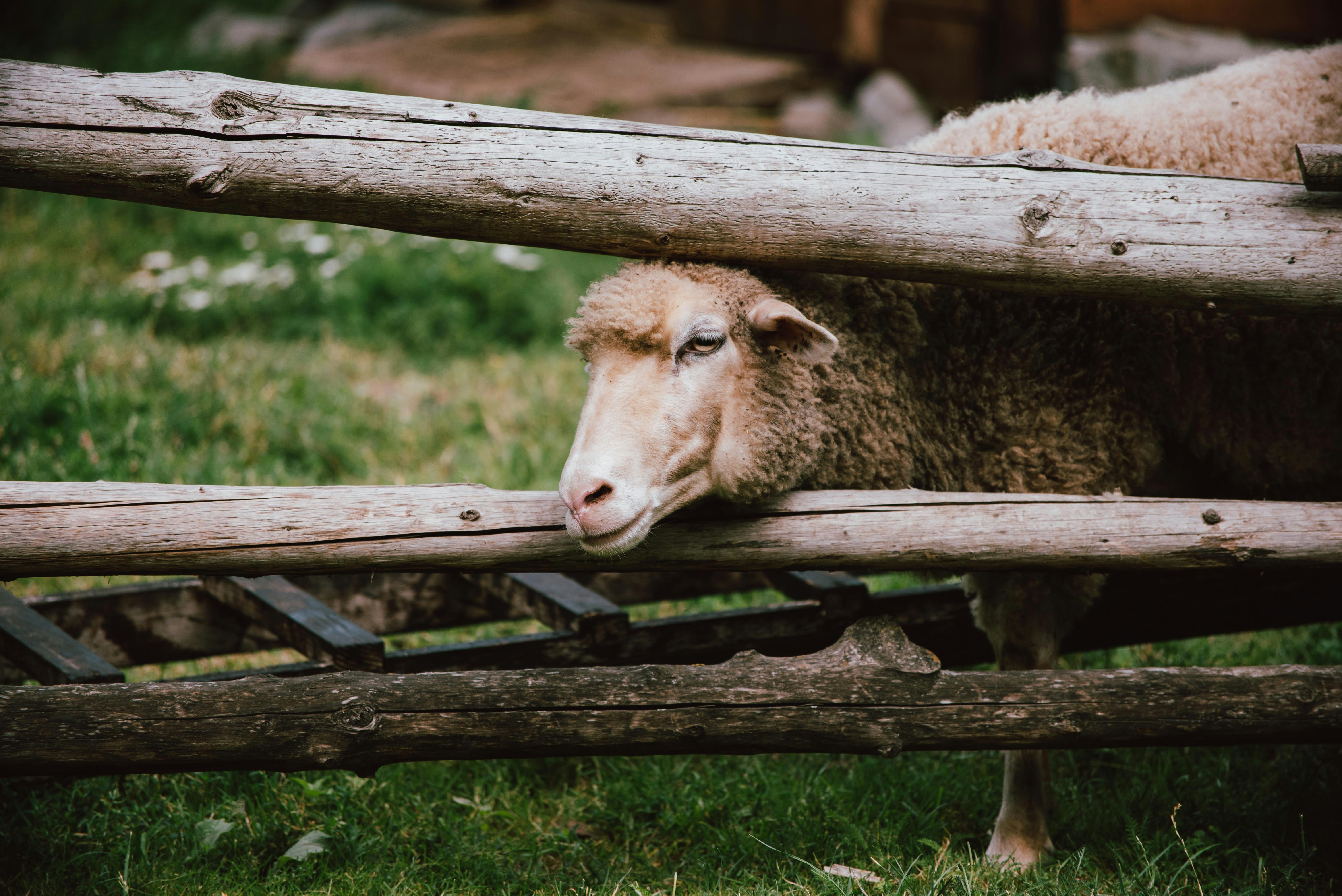 Photo by oksana_maselko