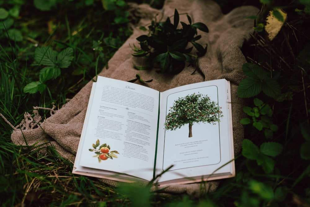 a book on the ground