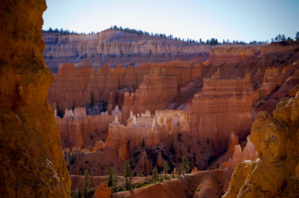 a canyon with trees with Bryce Canyon National Park in the background