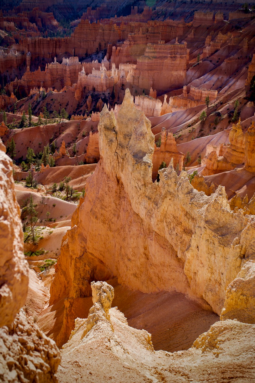 a canyon with a river running through it